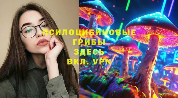 ГАЛЛЮЦИНОГЕННЫЕ ГРИБЫ Алзамай