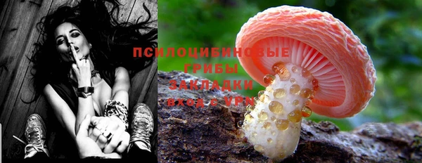 PSILOCYBIN Алексеевка