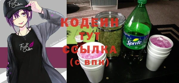 ГАЛЛЮЦИНОГЕННЫЕ ГРИБЫ Алзамай