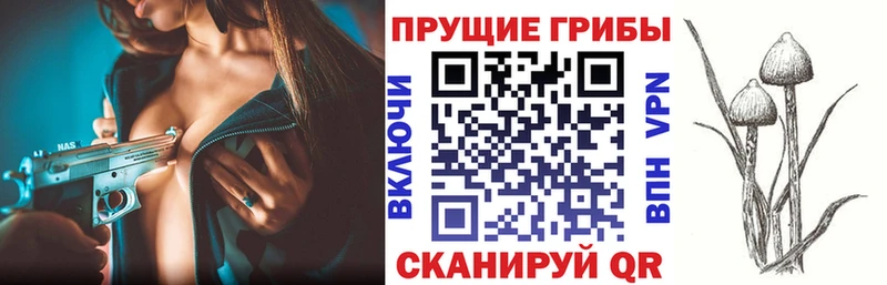 Псилоцибиновые грибы MAGIC MUSHROOMS  Королёв 