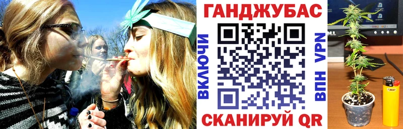 блэк спрут зеркало как найти Королёв Бошки Шишки MAZAR
